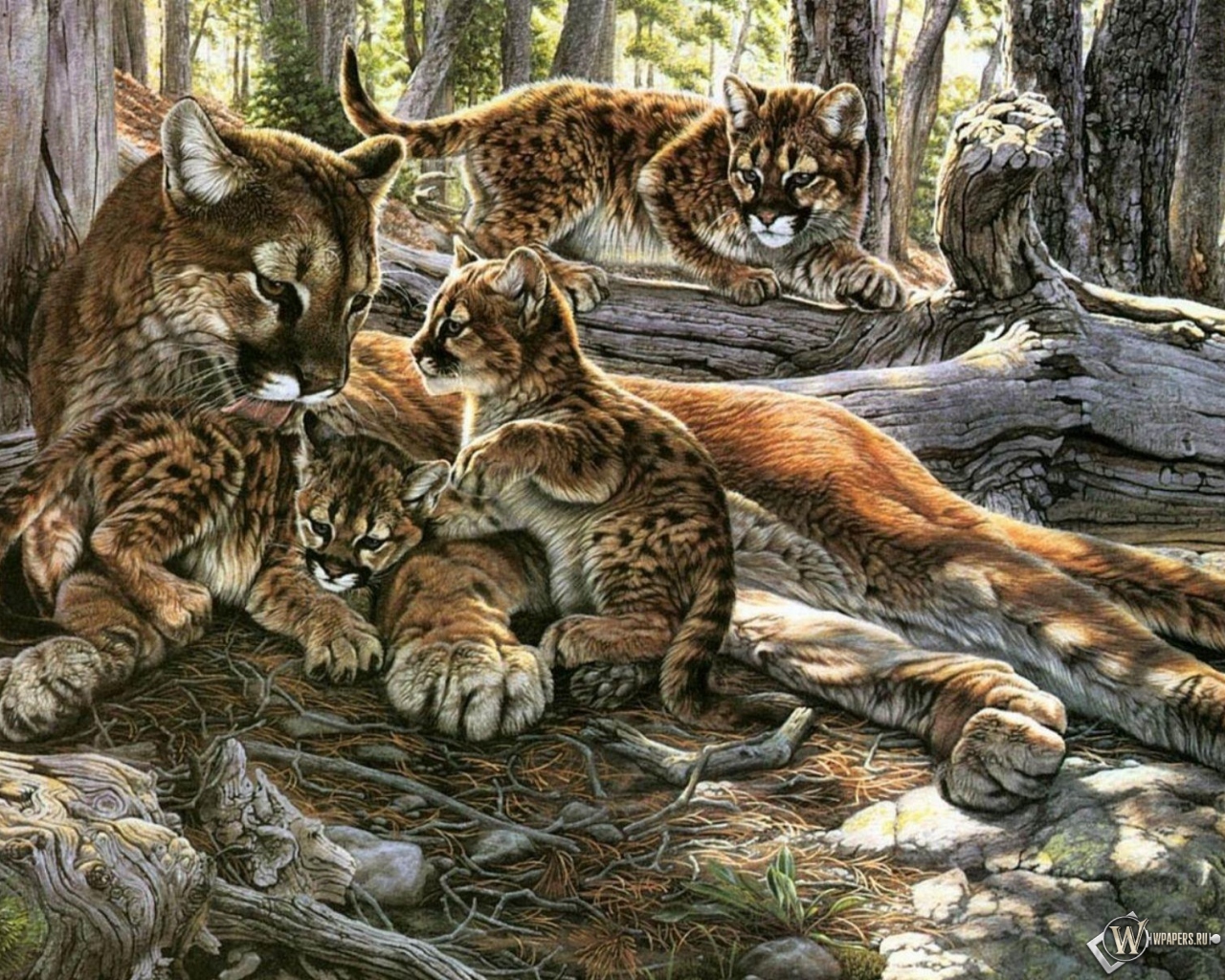 Картина пума с котятами 1280x1024