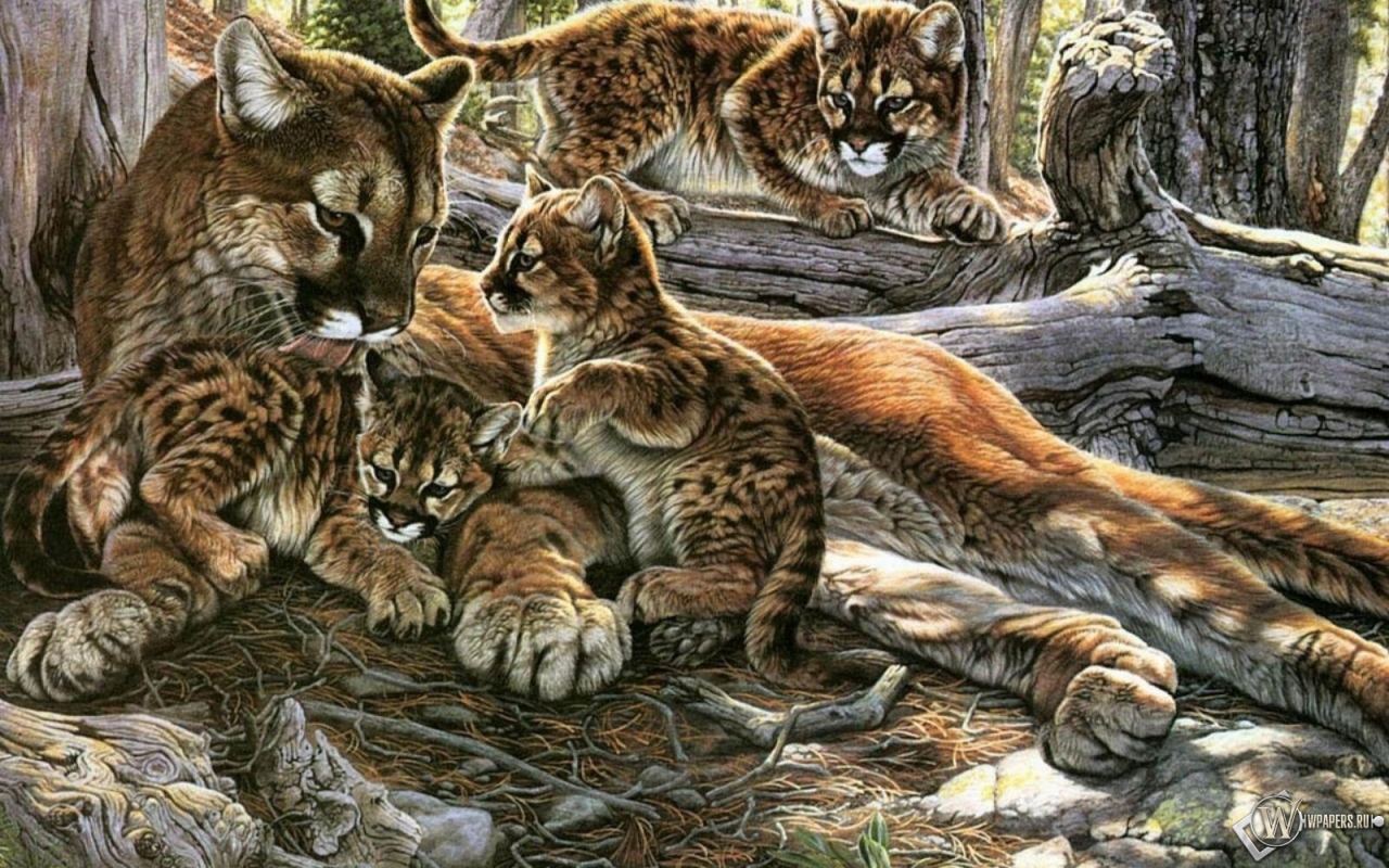 Картина пума с котятами 1280x800