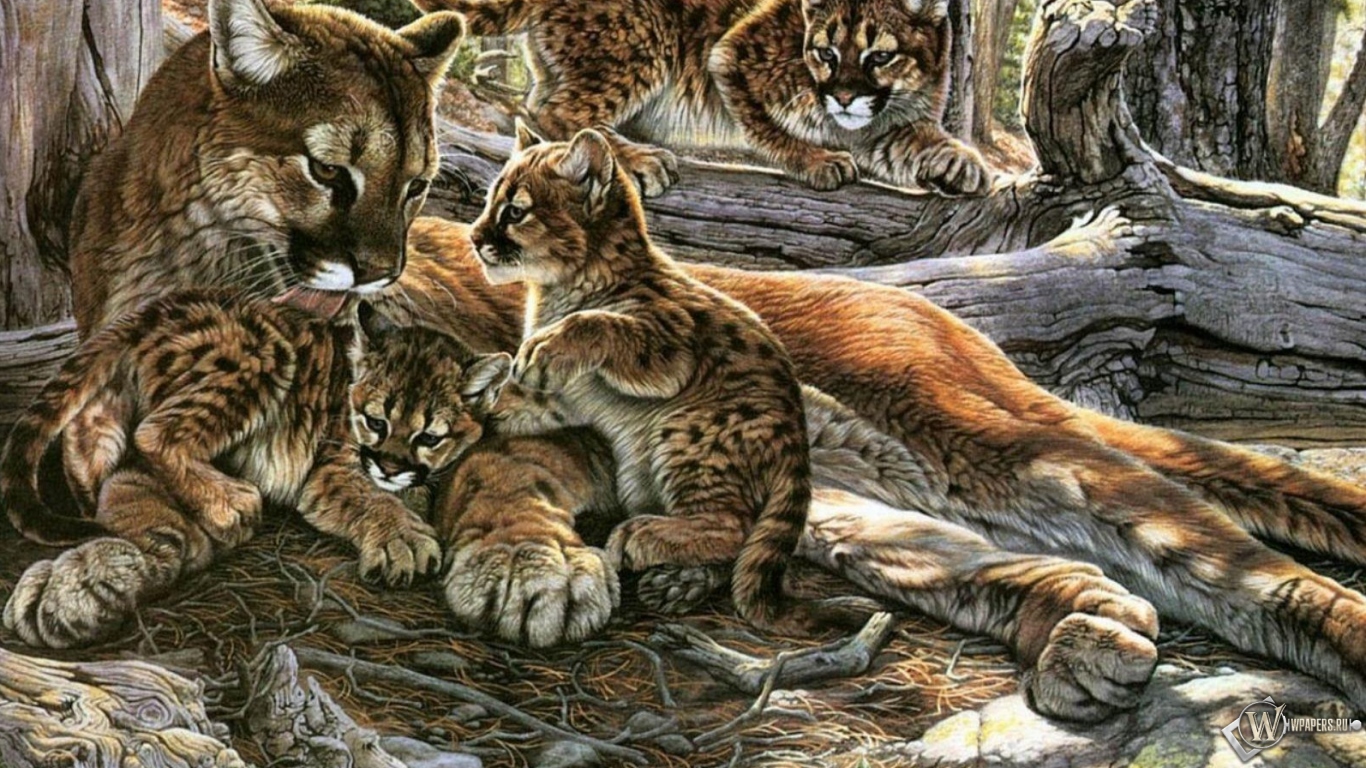 Картина пума с котятами 1366x768