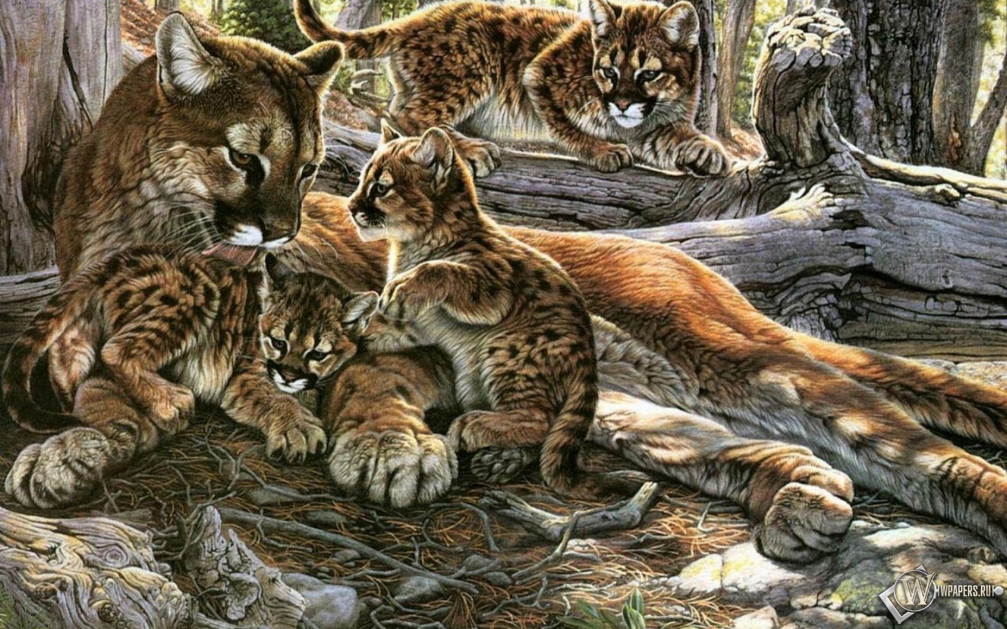 Картина пума с котятами 1440x900