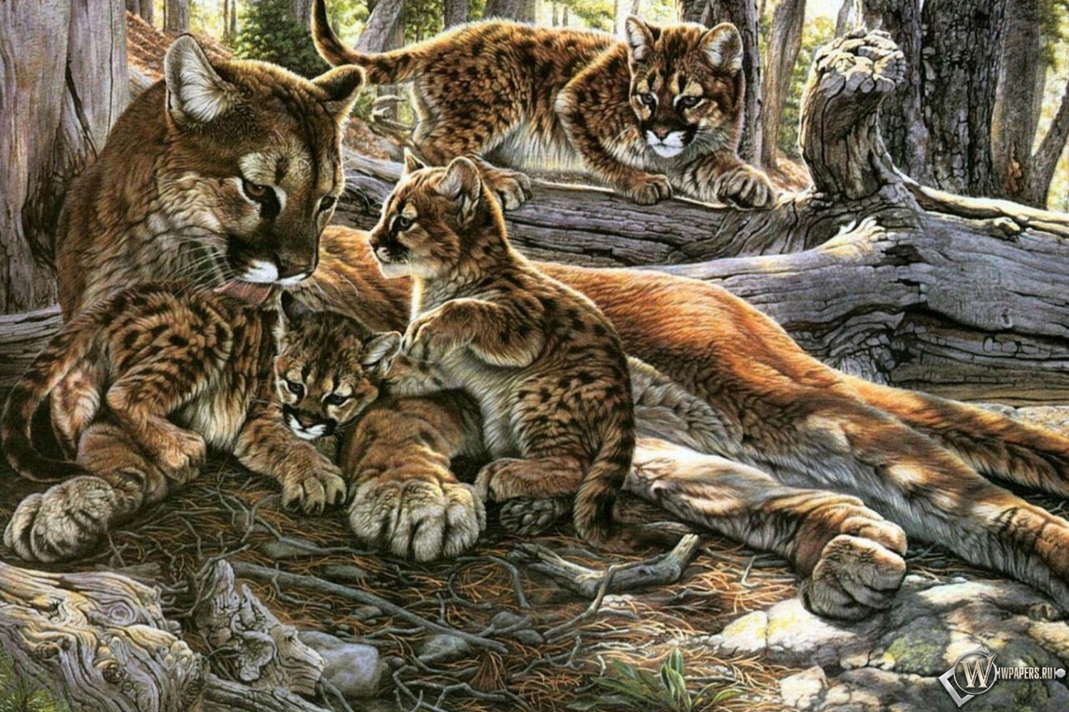 Картина пума с котятами 1500x1000