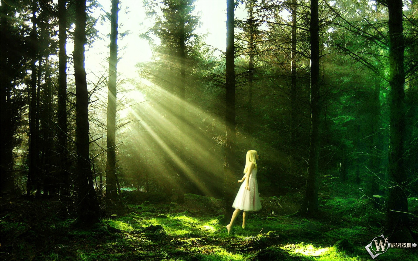 Девочка в лесу 1440x900