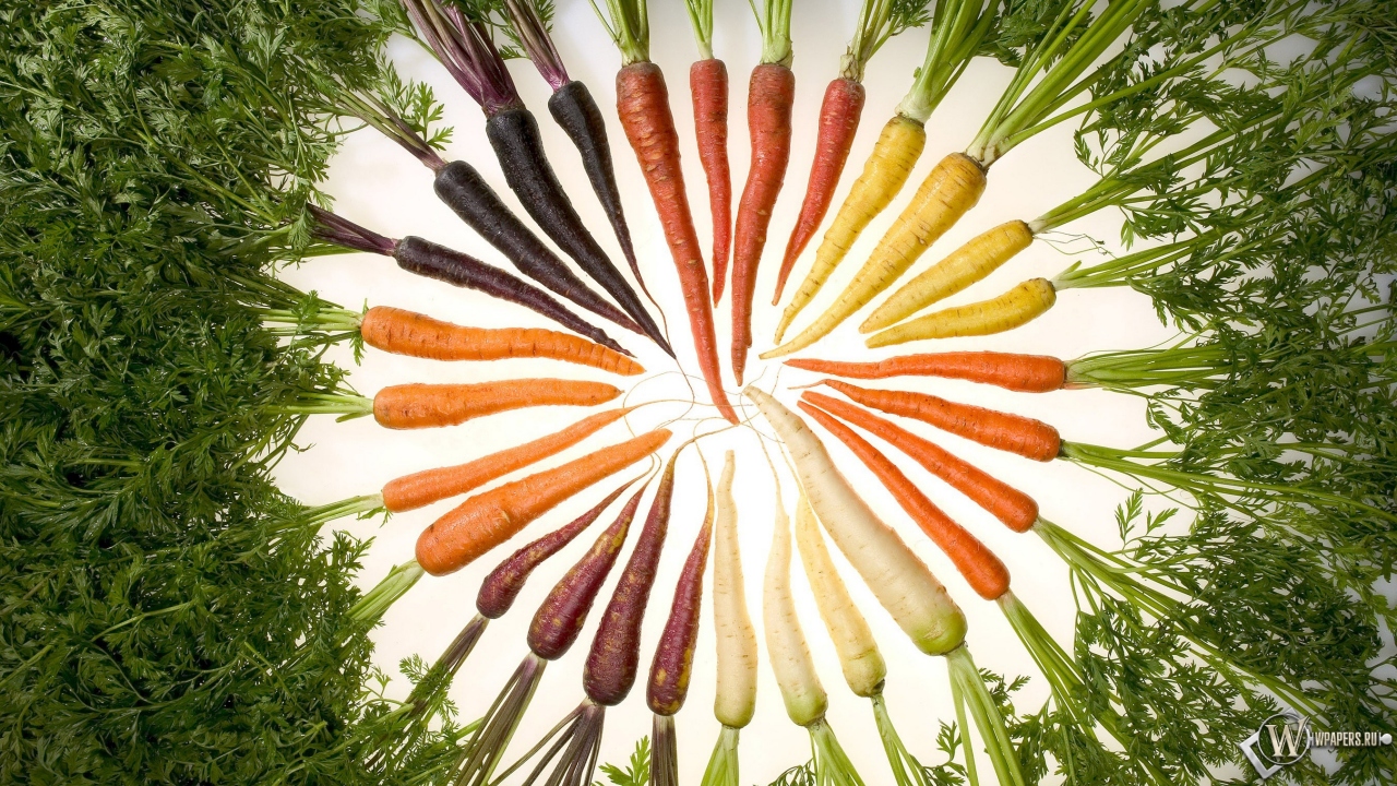 Морковь 1280x720