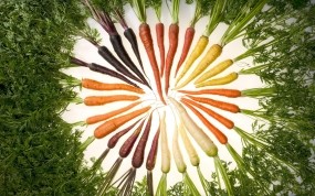 Обои Морковь: Цвета, Еда, Морковь, Еда