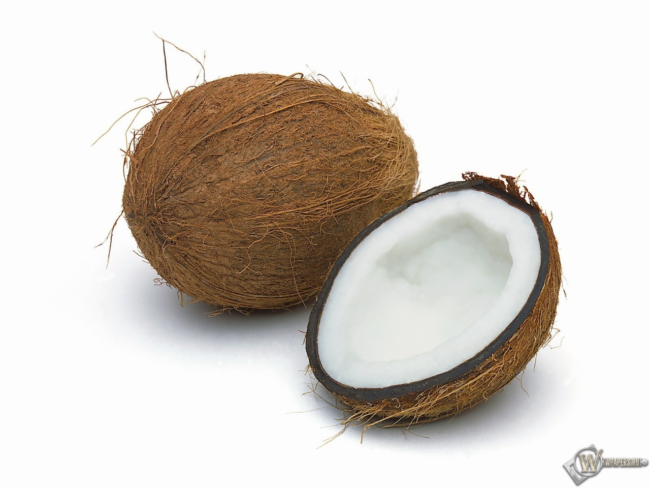 Картинка кокос без фона