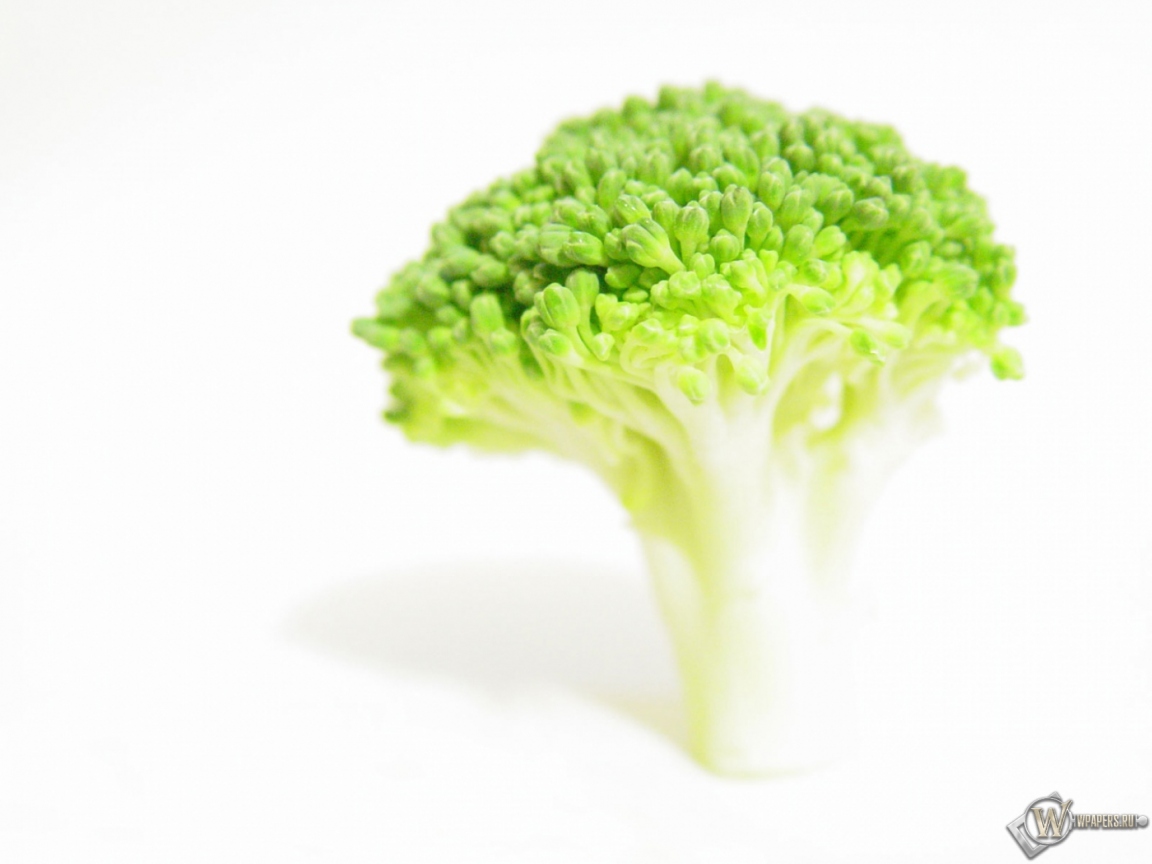 Broccoli 1152x864