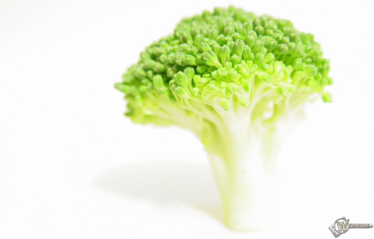 Broccoli 1200x768