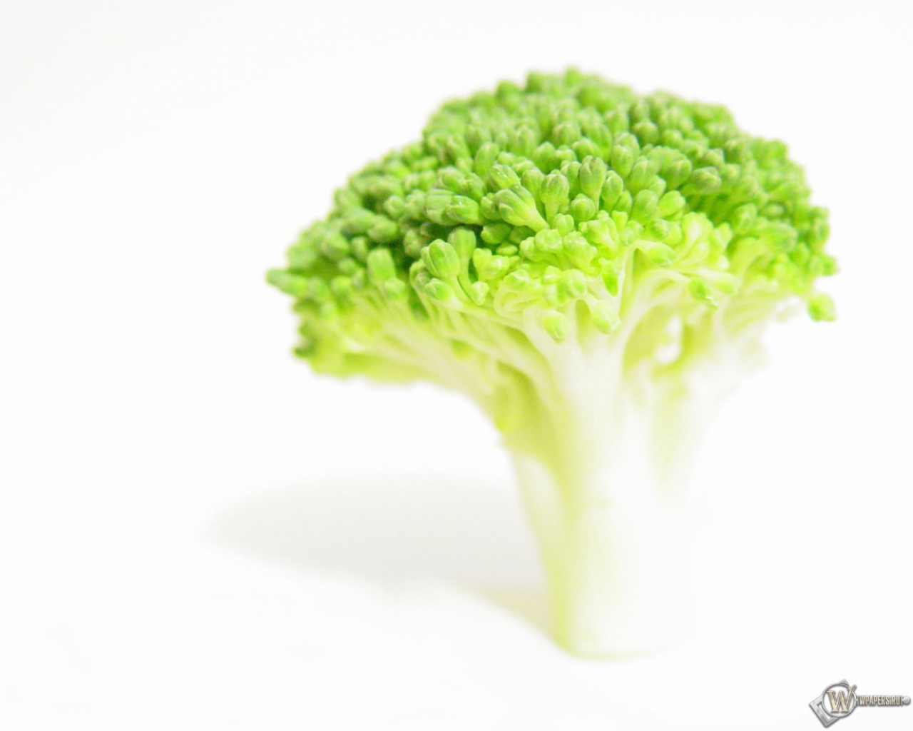 Broccoli 1280x1024