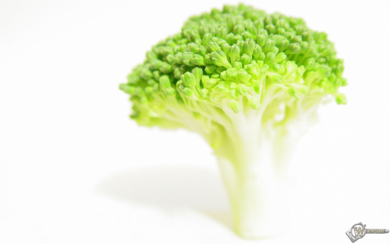 Broccoli 1280x800