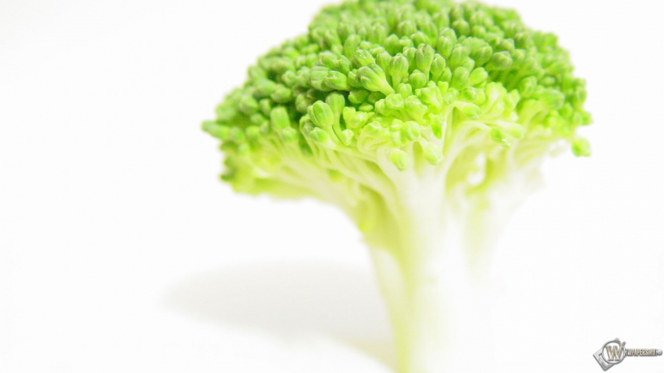 Broccoli 1366x768