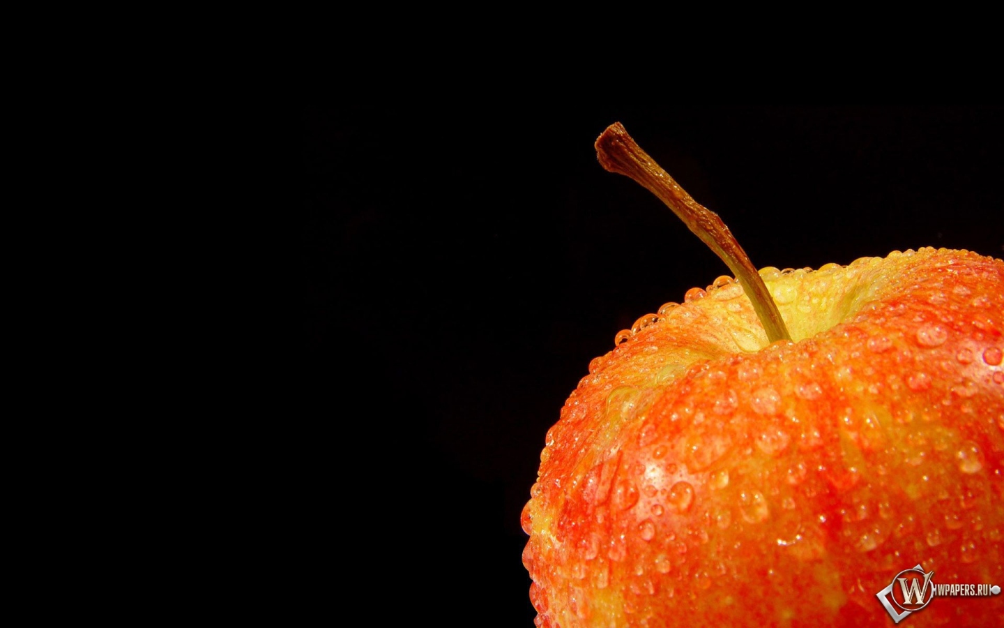 Яблоко на черном фоне 1440x900