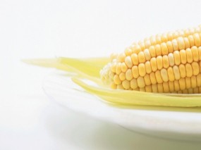 Обои Кукуруза: Зёрна, Кукуруза, Стручок, Початок, Еда