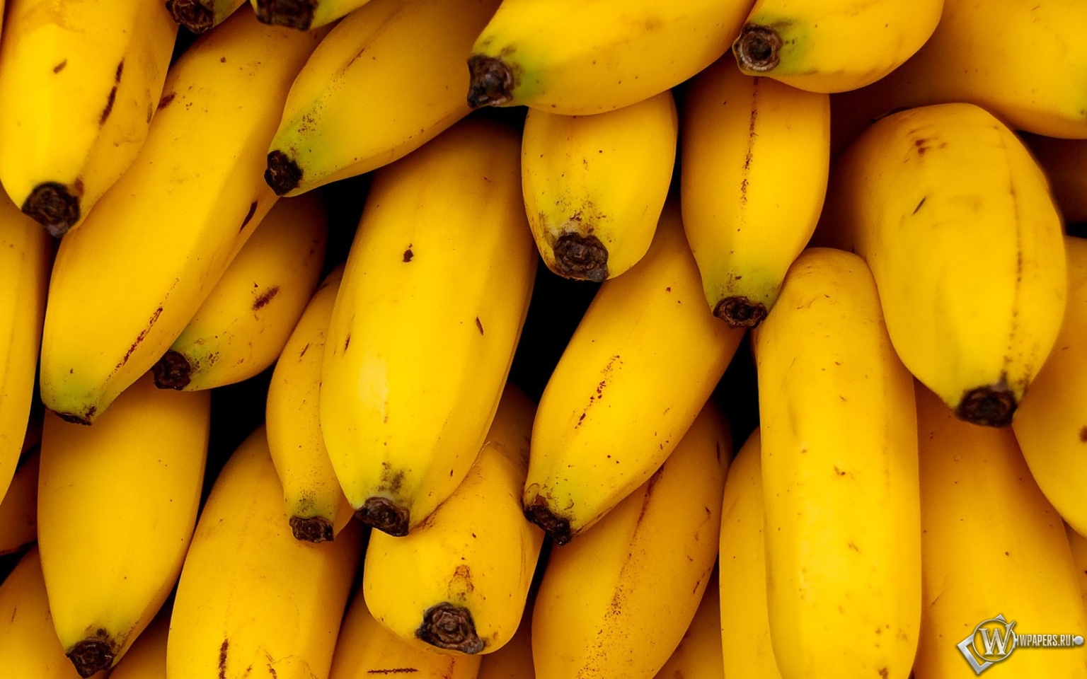 Бананы 1536x960