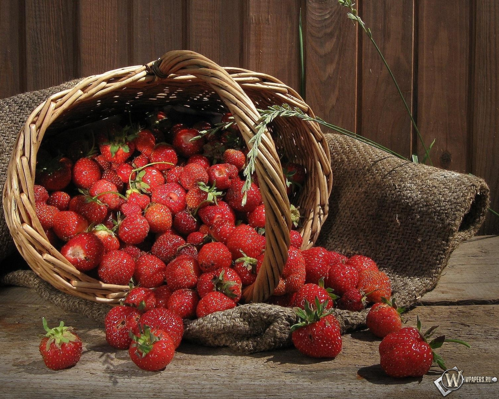 Фото с ягодами