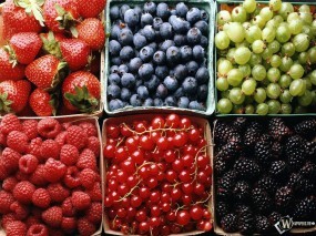 Обои Лесные ягоды: Малина, Ягоды, Клубника, Черника, Смородина, Ягоды