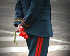 Обои Цветы у ветерана: Цветы, Тюльпаны, День Победы, Ветеран, День победы