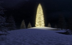 Обои Новогодняя елка в лесу: Огни, Лес, Ночь, Елка, Новый год