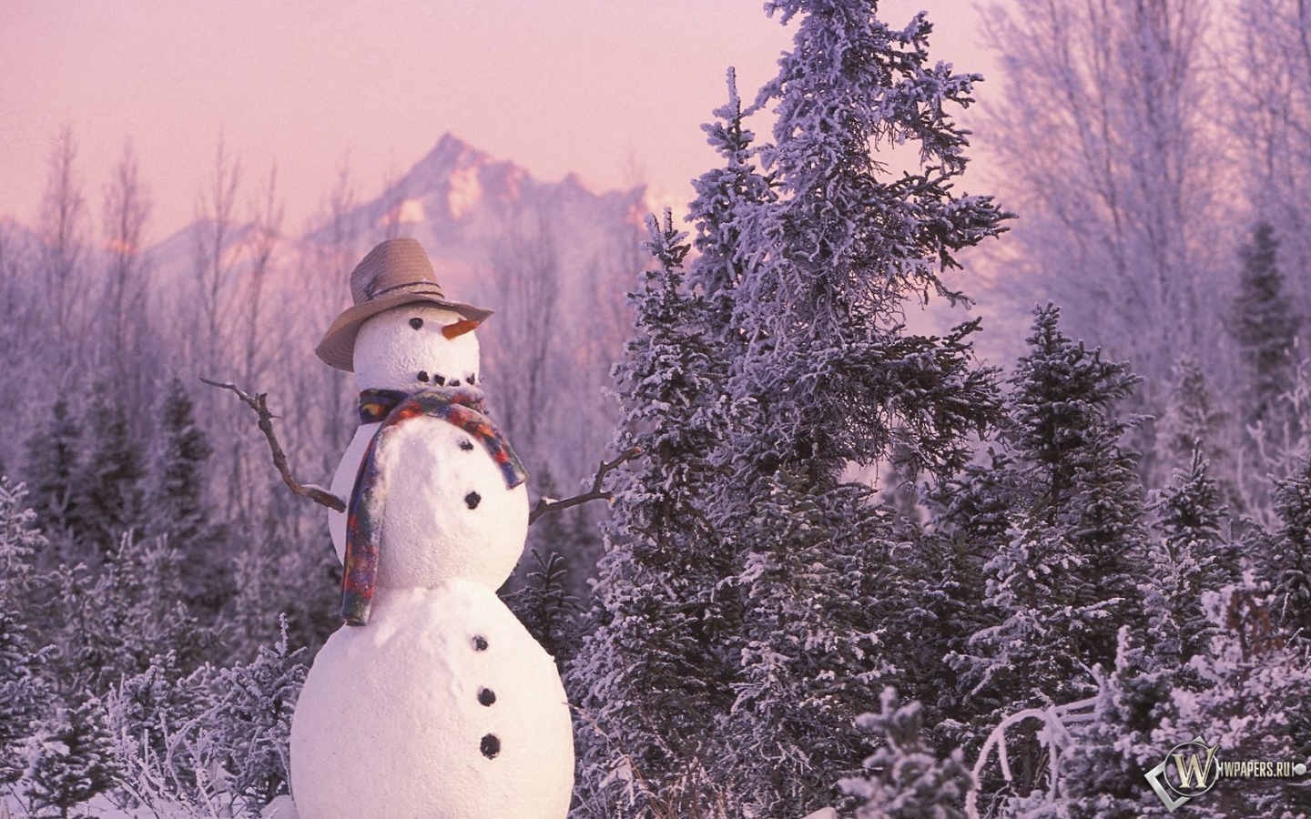 Снеговик 1440x900