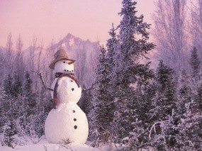 Обои Снеговик: Новый год, Ели, Снеговик, Новый год