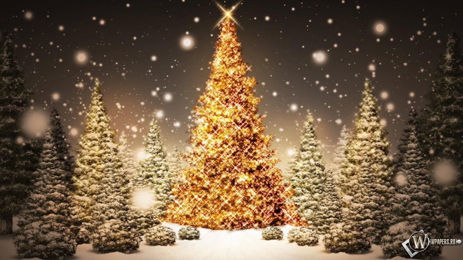 Рождественская елка 1600x900
