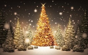 Обои Рождественская елка: Зима, Снег, Елка, Рождество, Праздник, Новый год