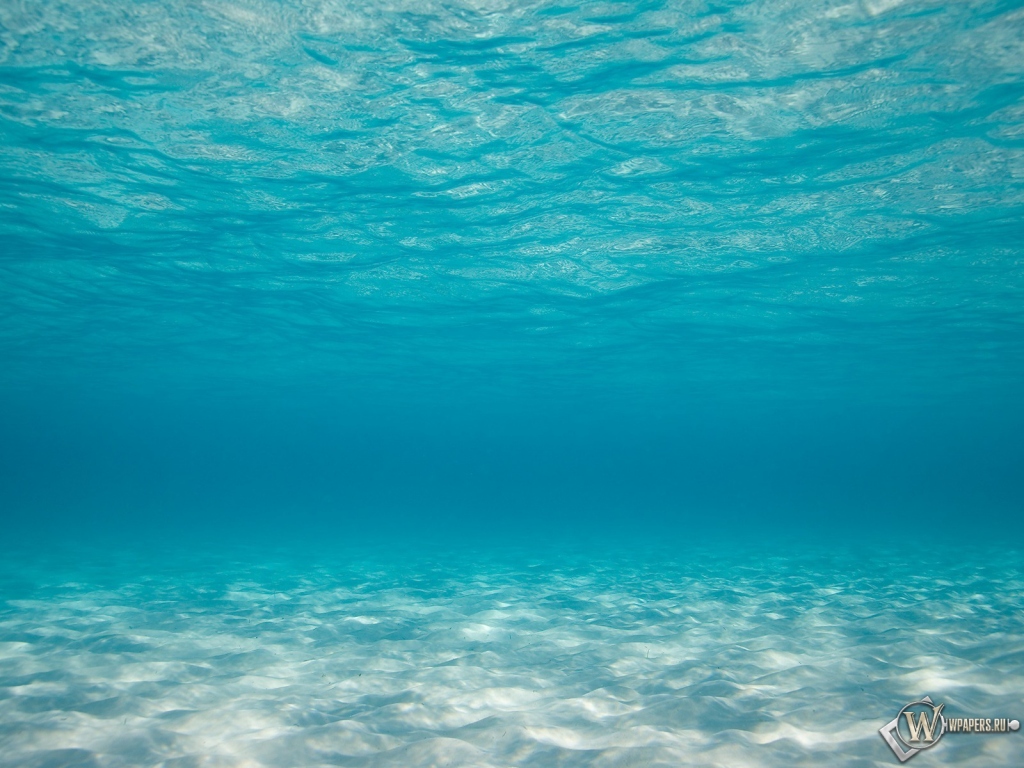 Океан под водой 1024x768