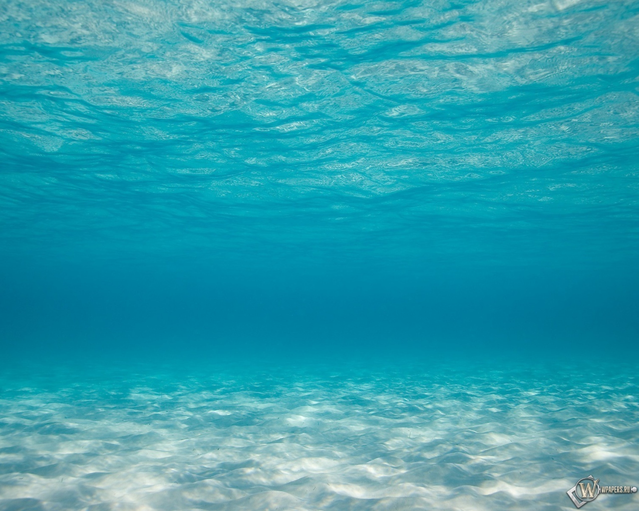 Океан под водой 1280x1024