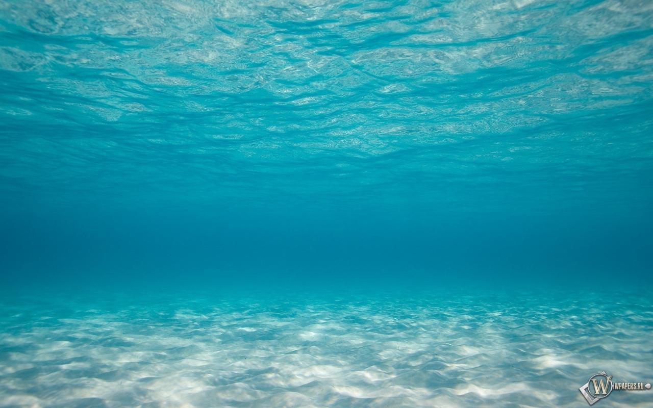 Океан под водой 1280x800