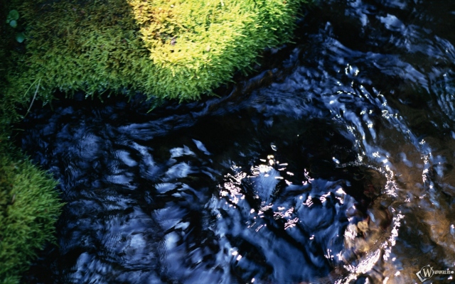 Зелёненькая травка - кристальная водичка