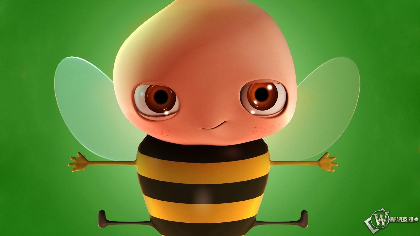 Забавная пчела 1600x900