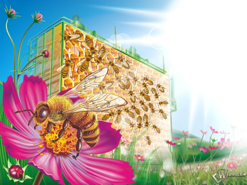Пчелиные соты 1024x768