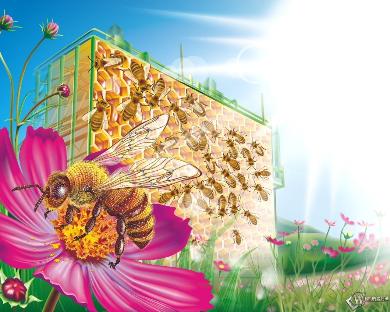 Пчелиные соты 1280x1024