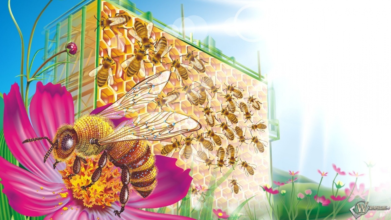 Пчелиные соты 1366x768