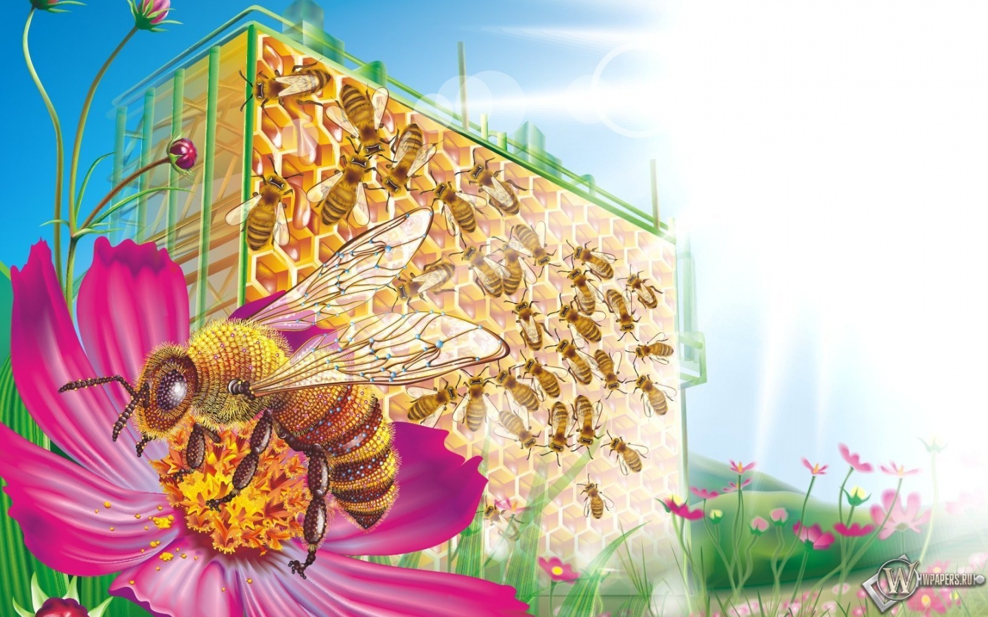 Пчелиные соты 1440x900