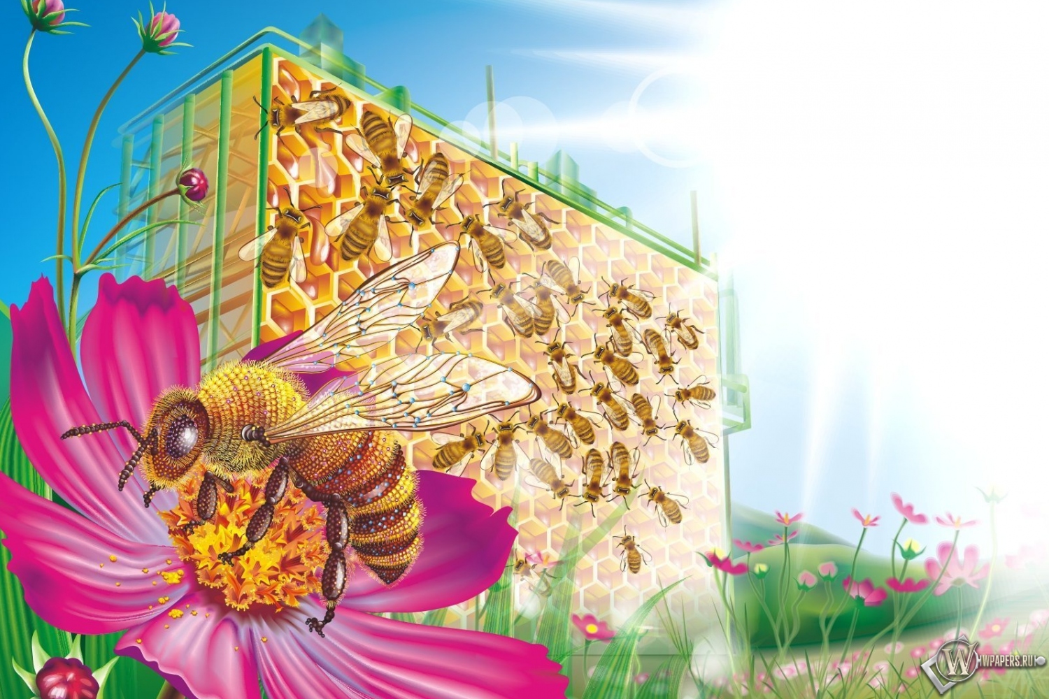 Пчелиные соты 1500x1000
