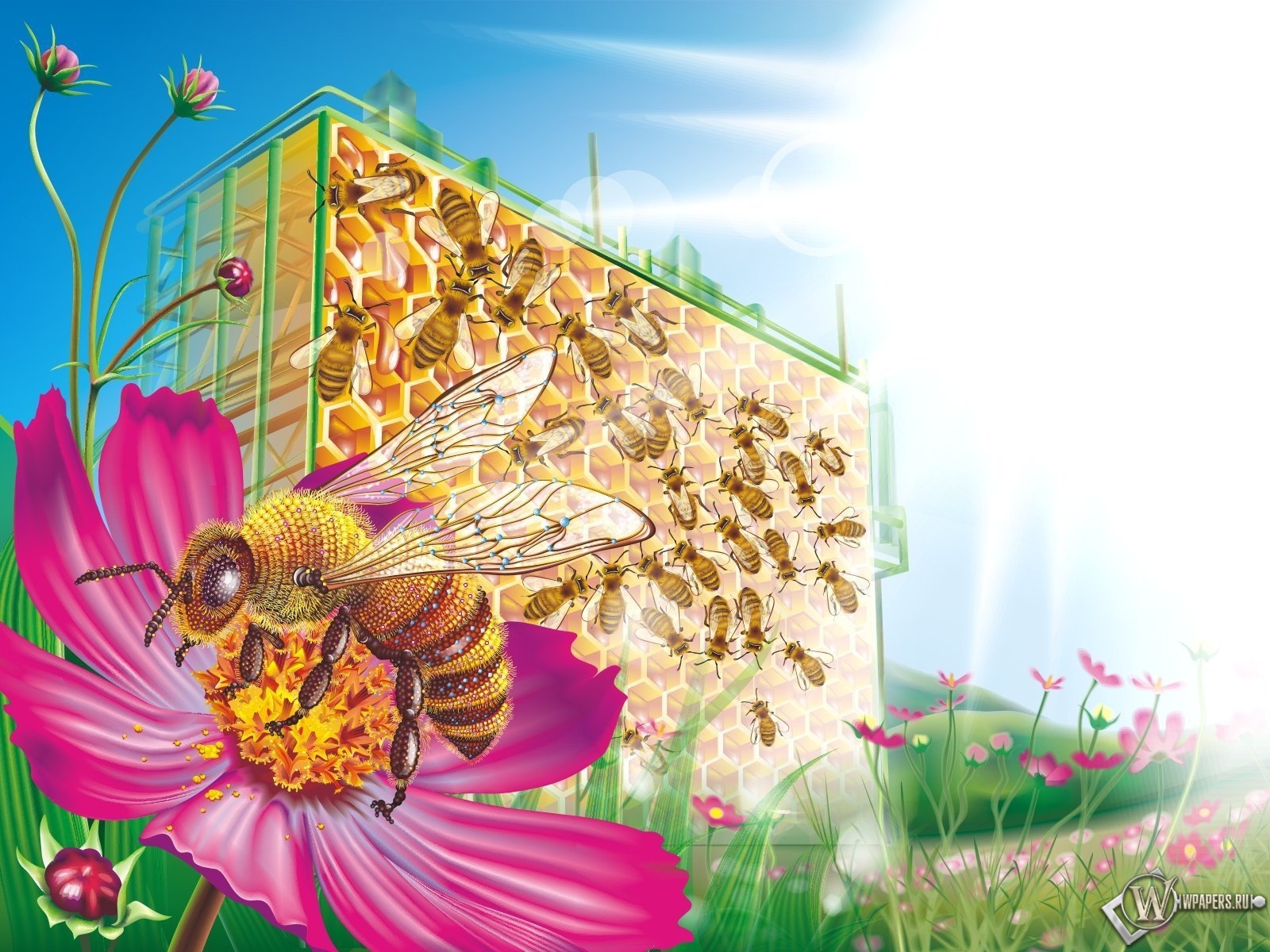 Пчелиные соты 1600x1200