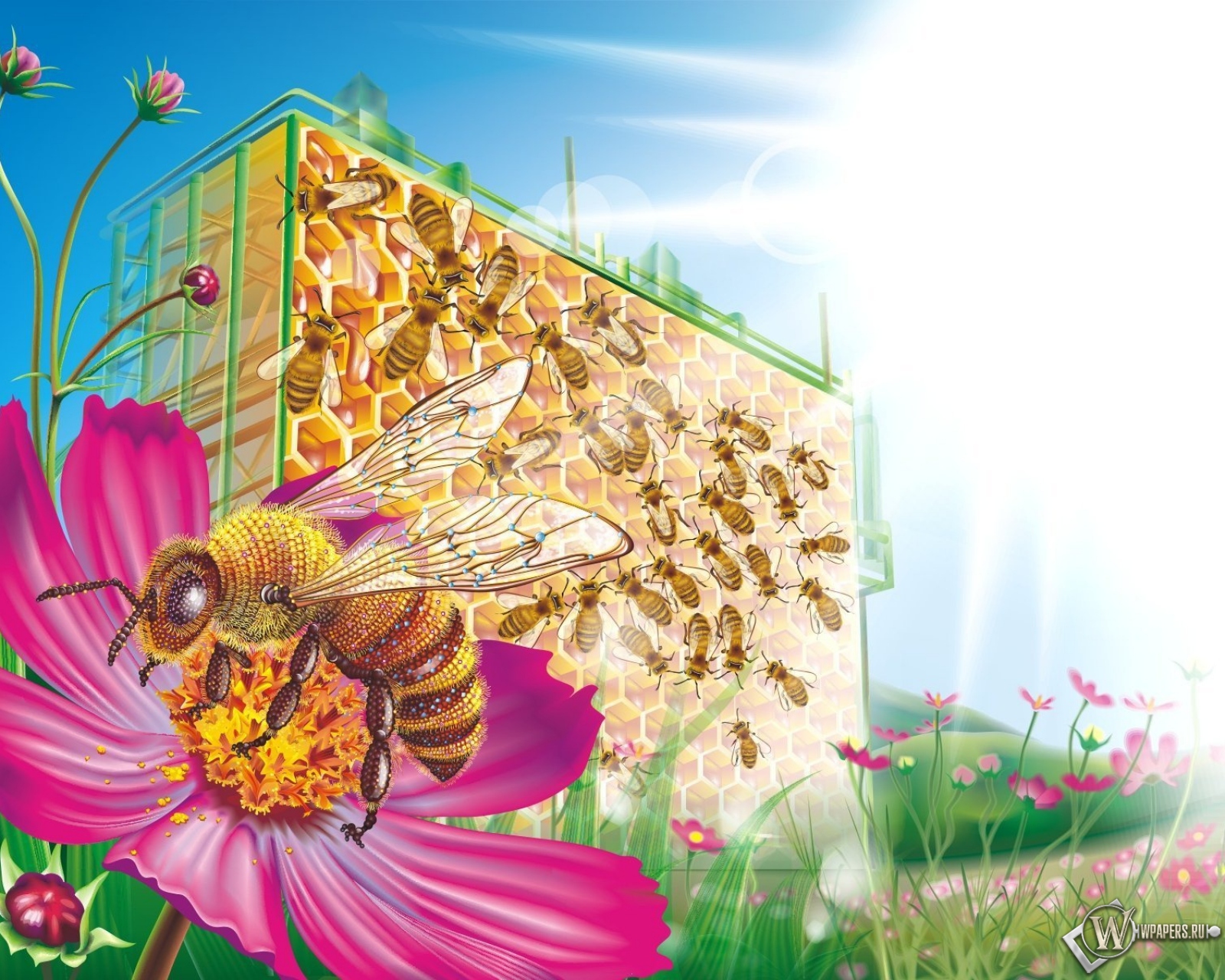 Пчелиные соты 1600x1280