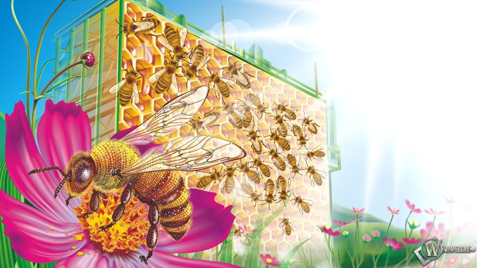 Пчелиные соты 1600x900
