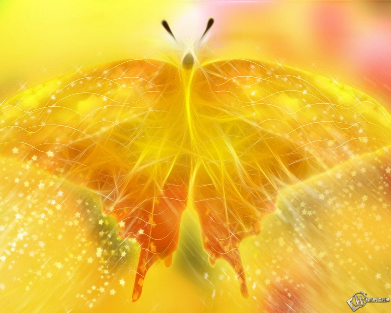 Жёлтая бабочка 1280x1024