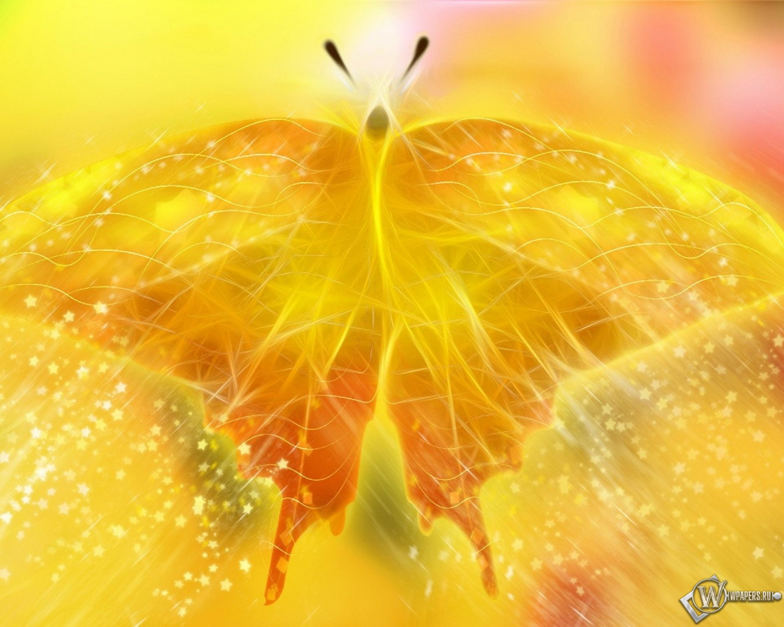 Жёлтая бабочка 1600x1280