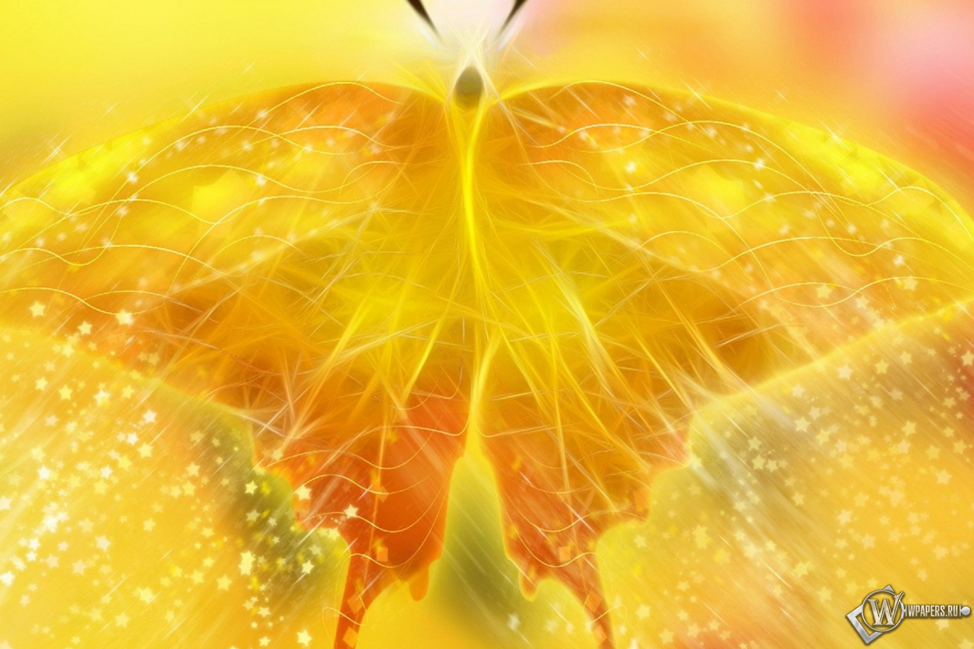 Жёлтая бабочка 1920x1280