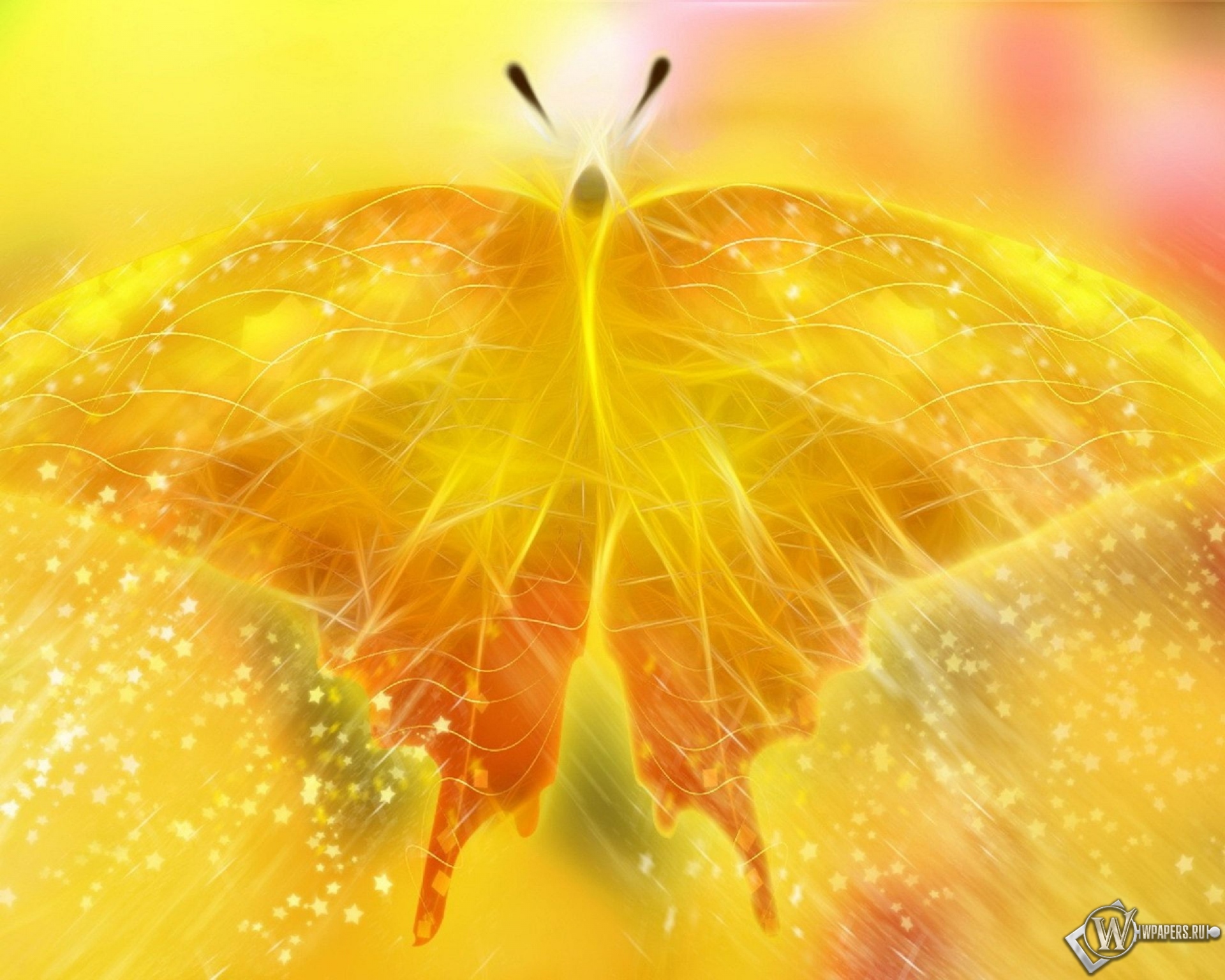Жёлтая бабочка 1920x1536
