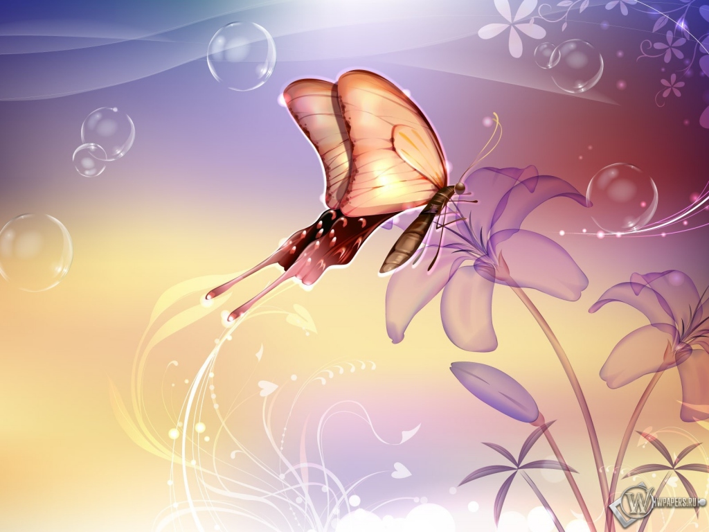 Бабочка на лилии 1024x768