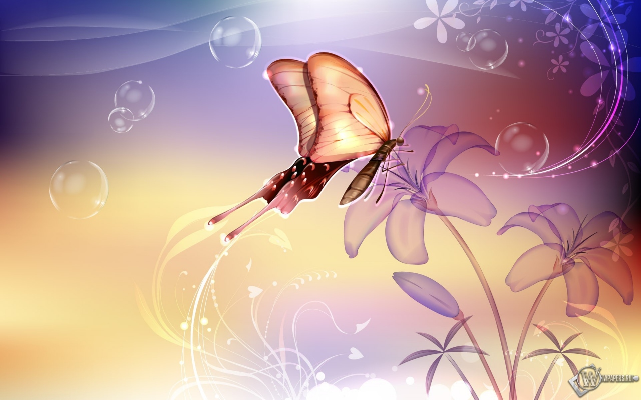 Бабочка на лилии 1280x800