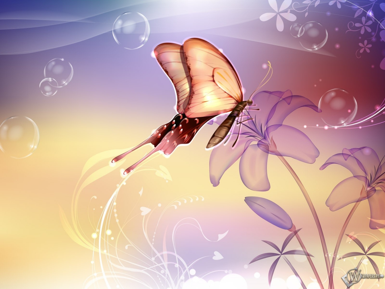 Бабочка на лилии 1280x960