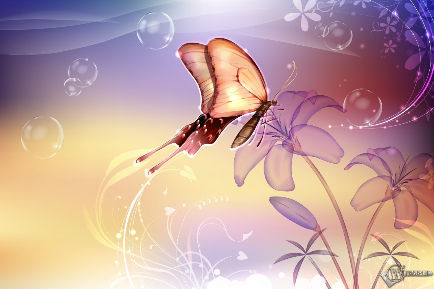 Бабочка на лилии 1500x1000