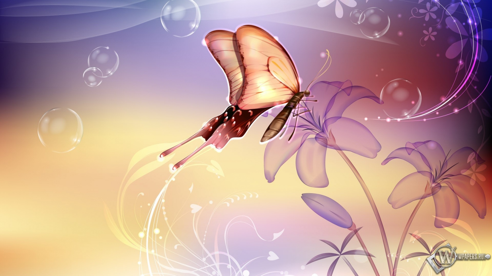 Бабочка на лилии 1600x900