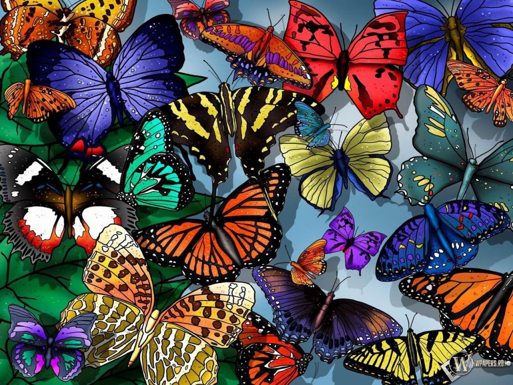 Разноцветные бабочки 1024x768