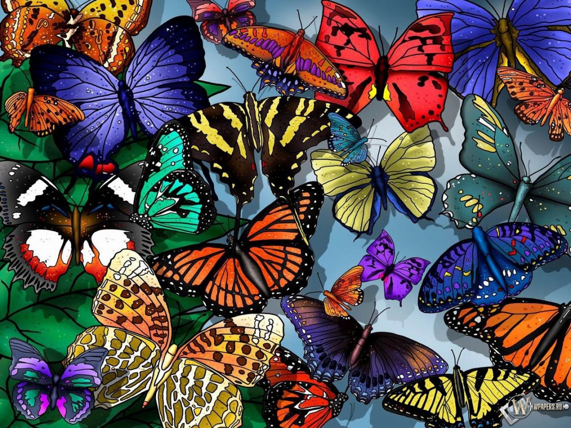 Разноцветные бабочки 1152x864