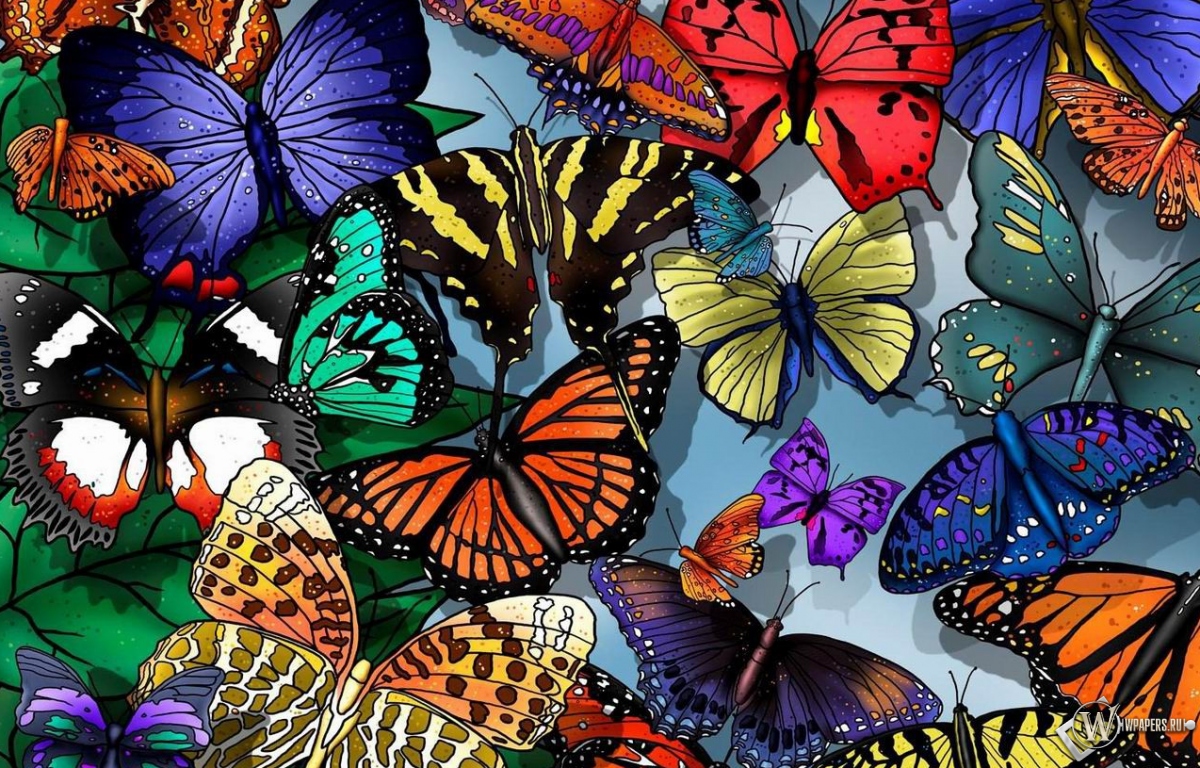 Разноцветные бабочки 1200x768